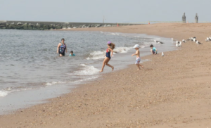 Brooklyn to receive new beach courtesy of Two Trees